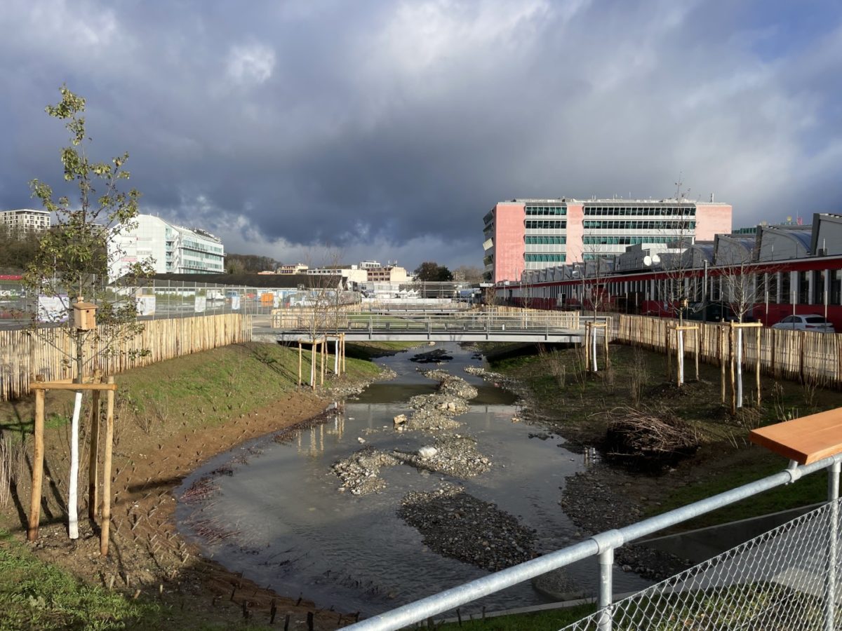 La Drize coule au cœur des Acacias !